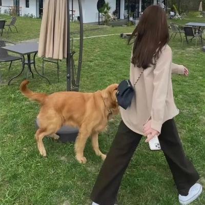 爱情故事